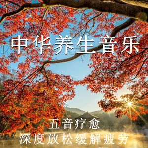 欧洲黑B干白B
